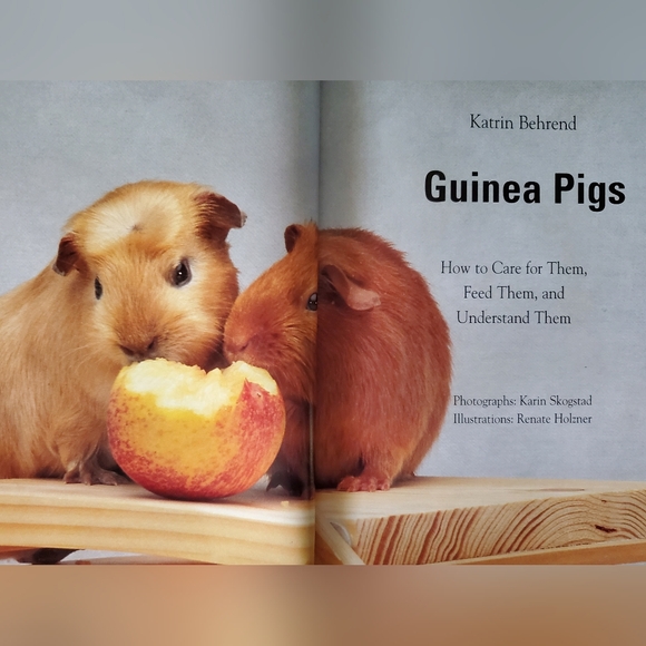 Guinea Pigs Care Guide Bk - Picture 4 of 5